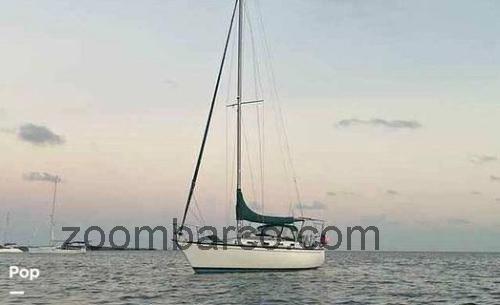 Tartan 33 avaliação e ficha técnica